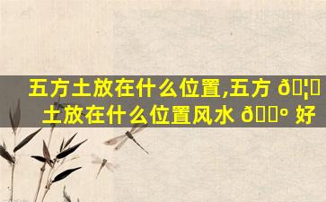 五方土放在什么位置,五方 🦉 土放在什么位置风水 🌺 好